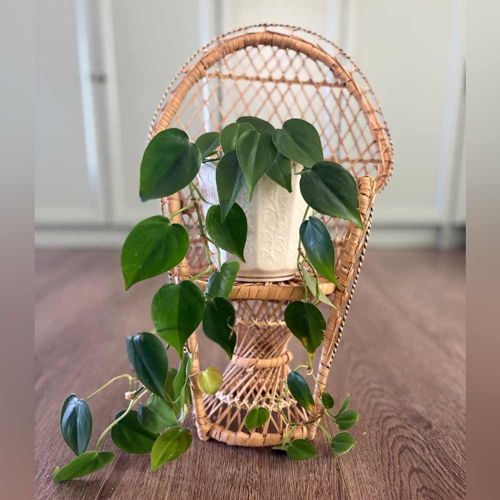 Vintage Mini Peacock Chair for Dolls or Plant Stand Boho Wicker Rattan